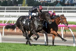 Determined mare hits the mark at Flemington